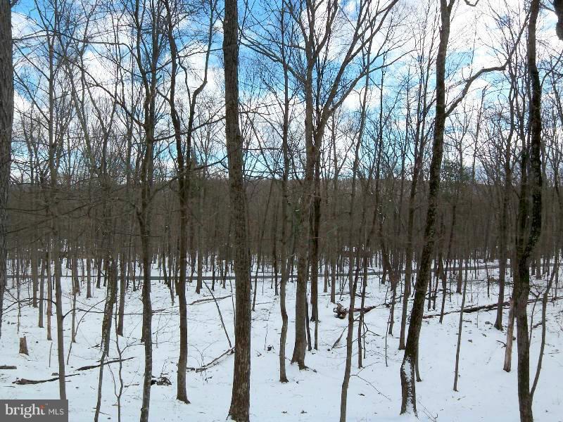 COOLFONT MOUNTAINSIDE - Residential