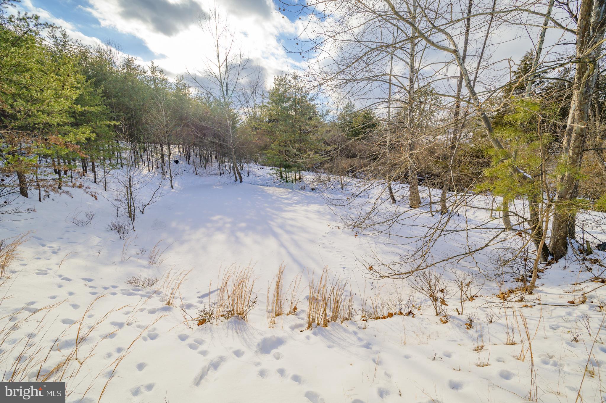 ANNANDALE DR.