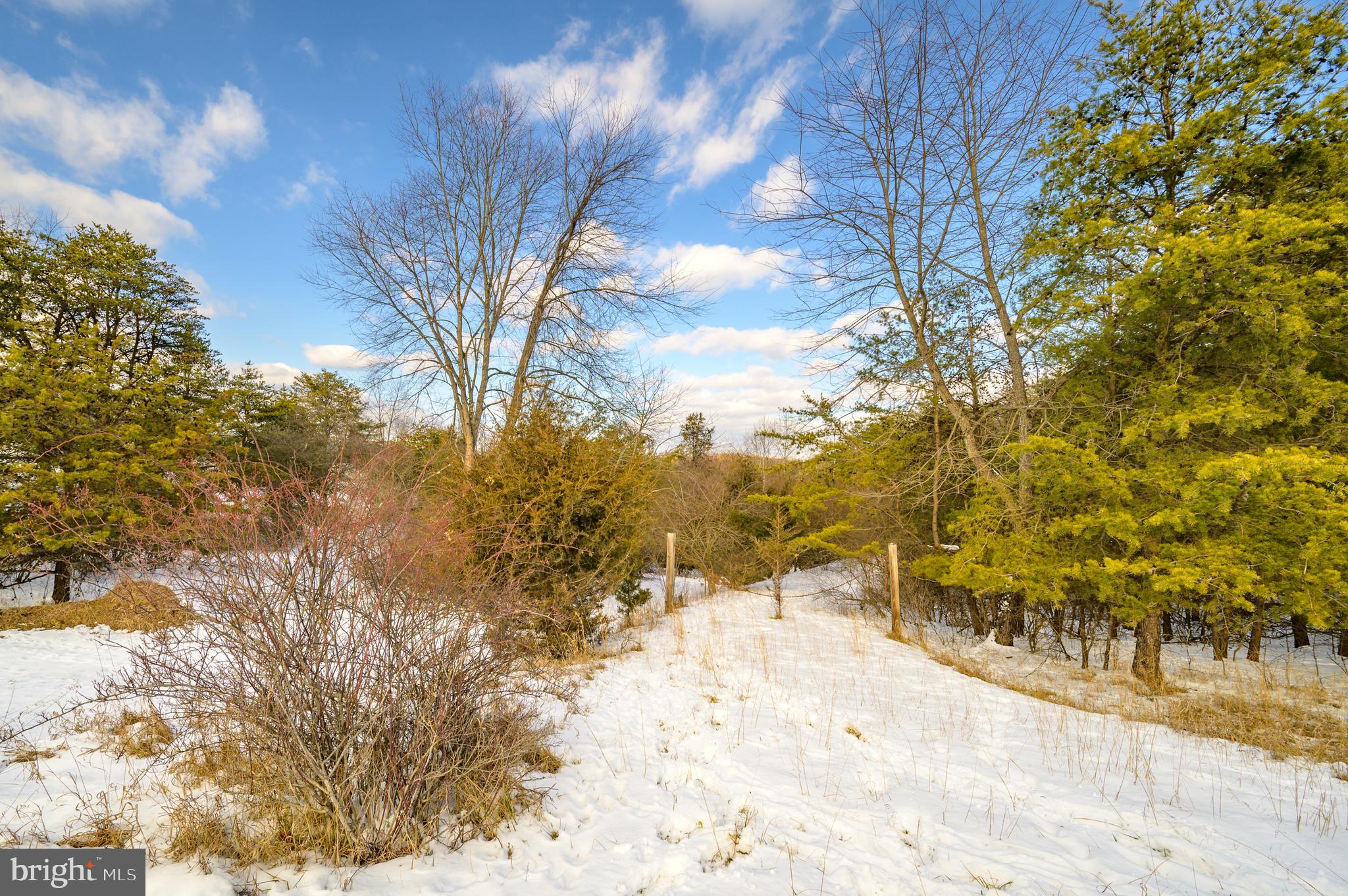 ANNANDALE DR.