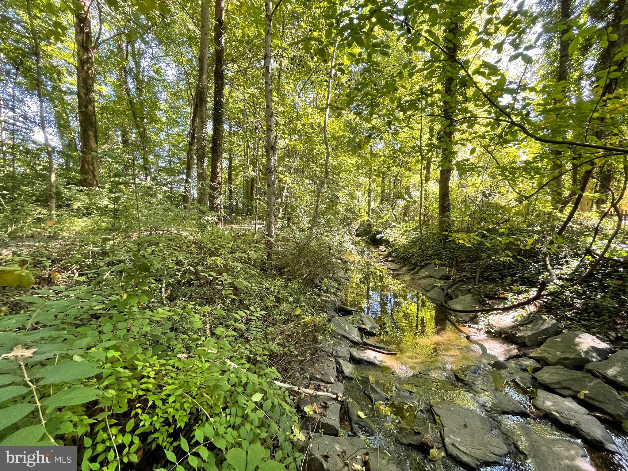 MOSBY WOODS - Residential Lease