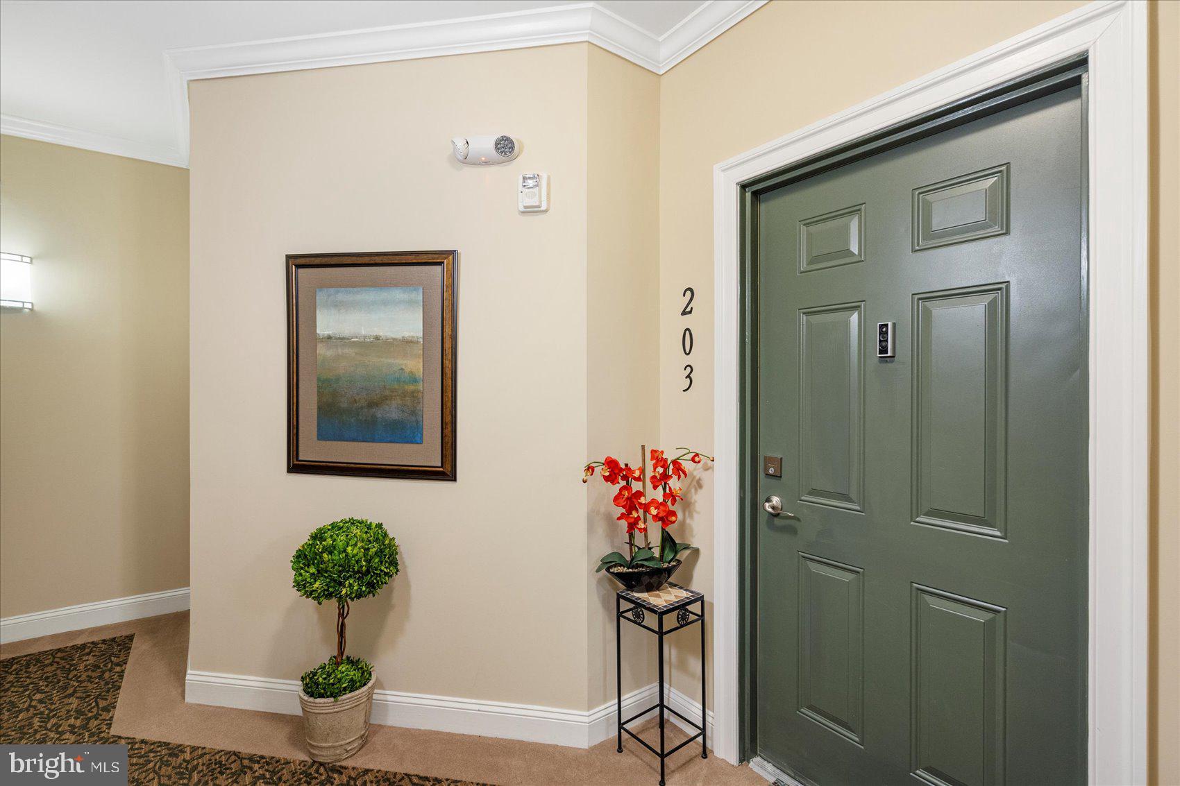 601 QUICKSILVER COURT 203