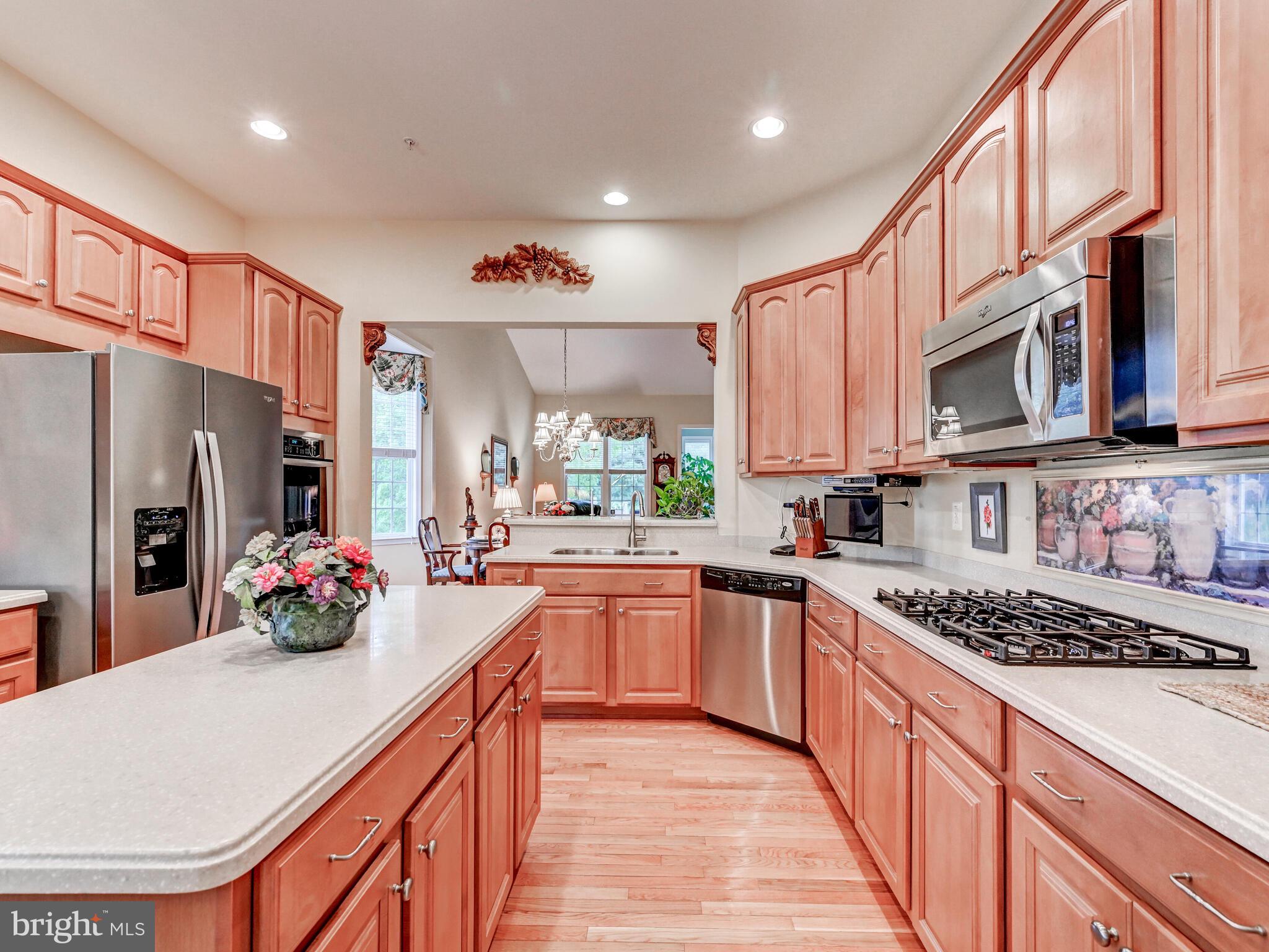 ELLICOTT MEADOWS - Residential