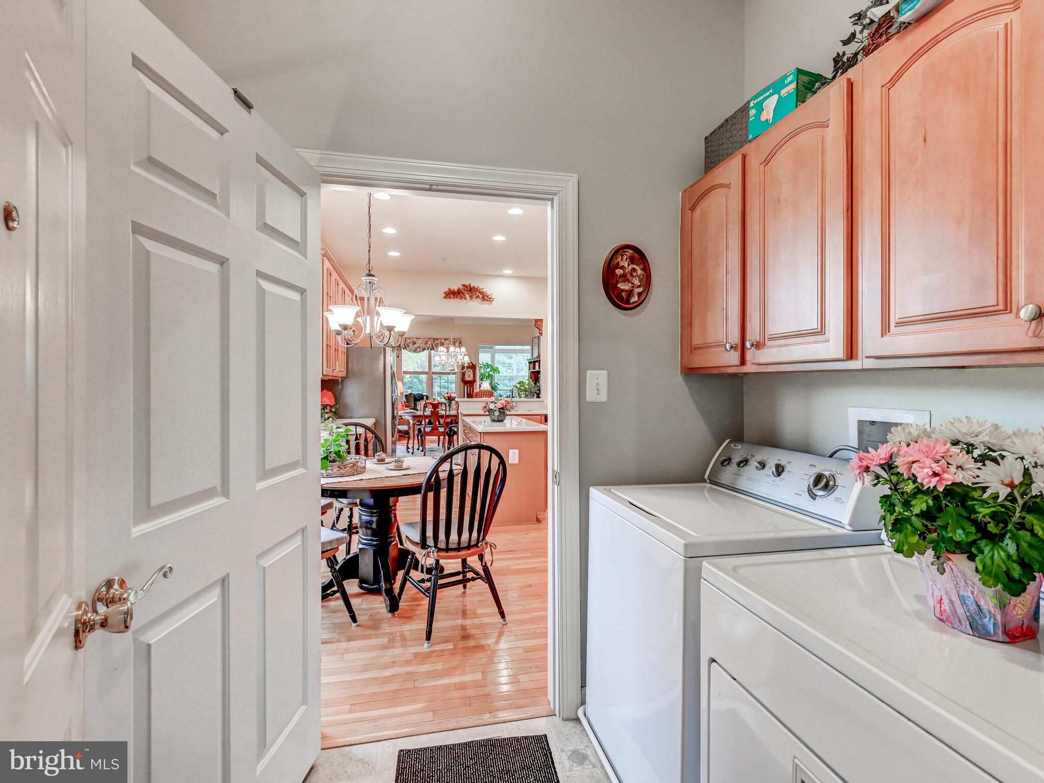 ELLICOTT MEADOWS - Residential