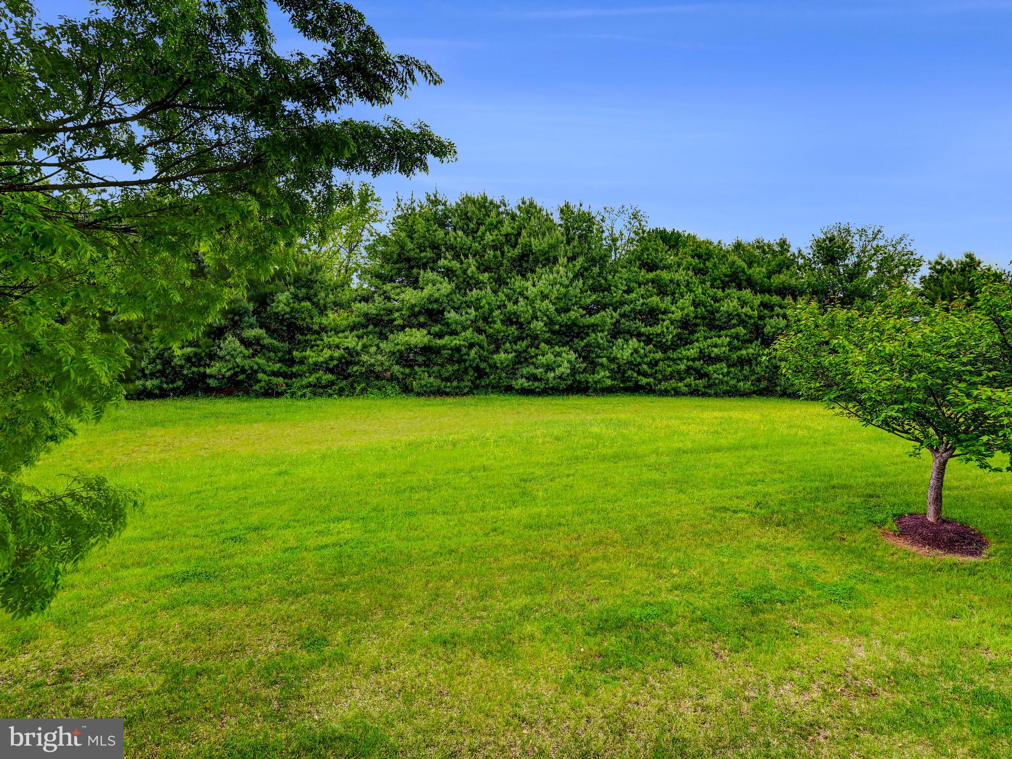 ELLICOTT MEADOWS - Residential