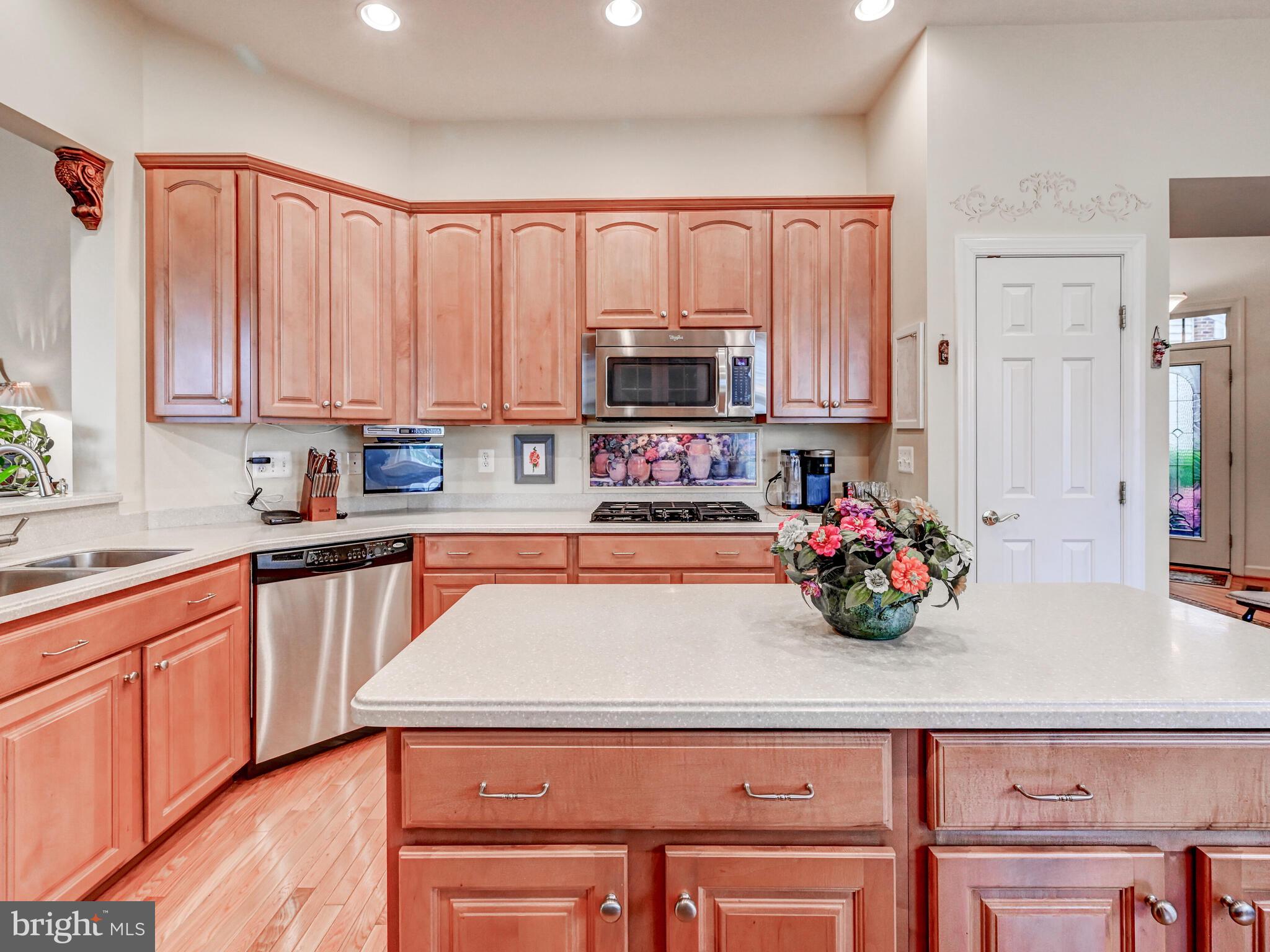 ELLICOTT MEADOWS - Residential