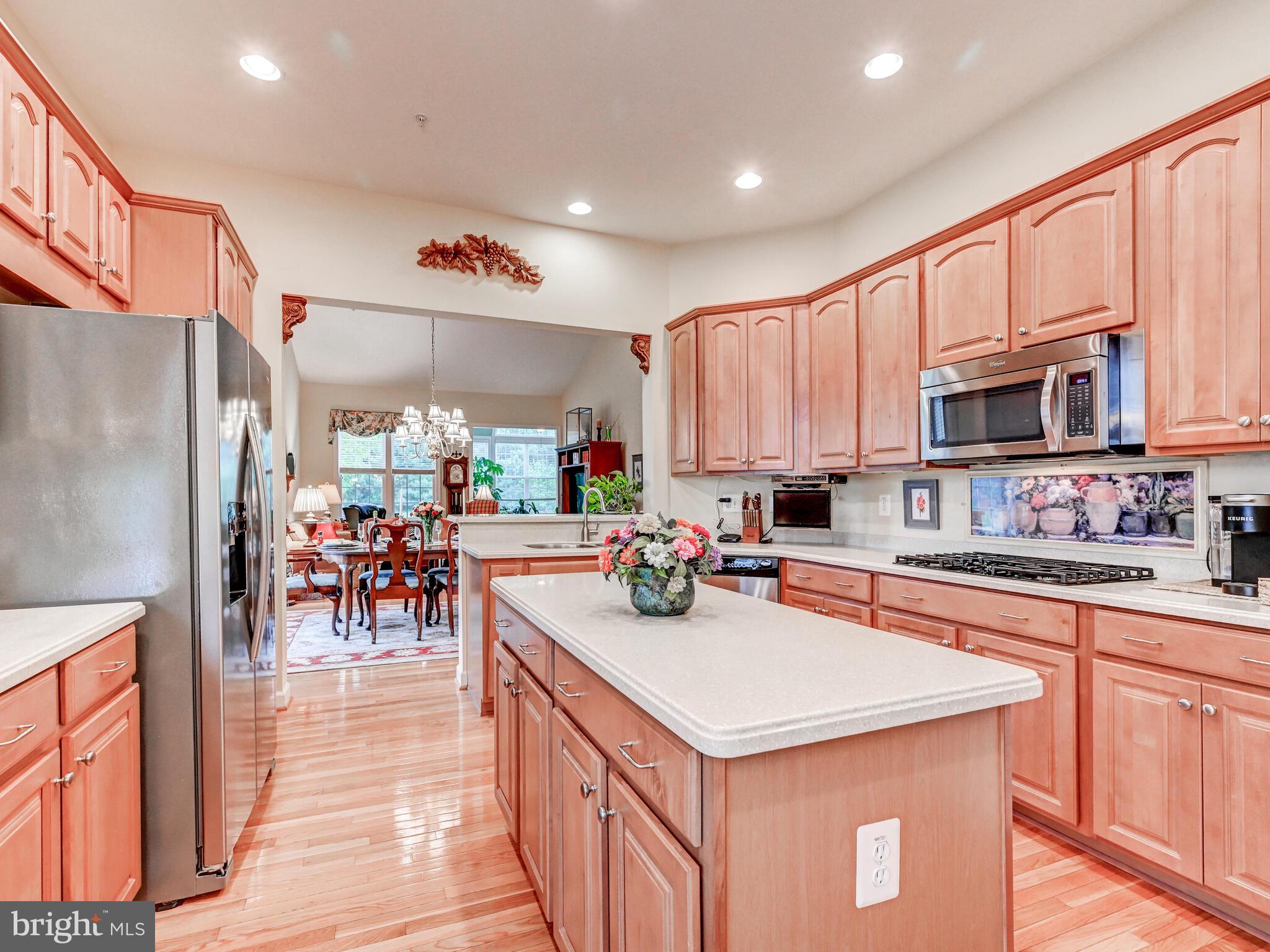 ELLICOTT MEADOWS - Residential