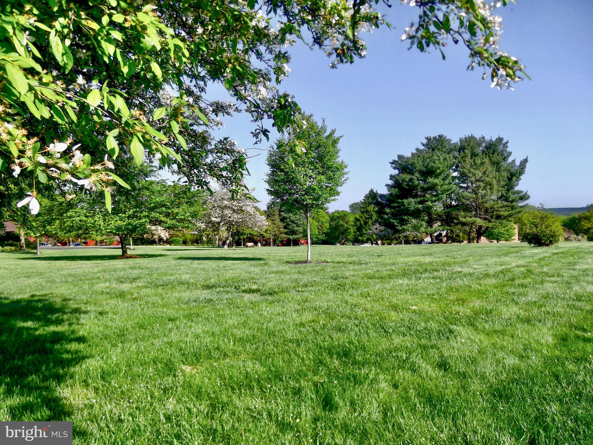 VILLAGE II - Residential