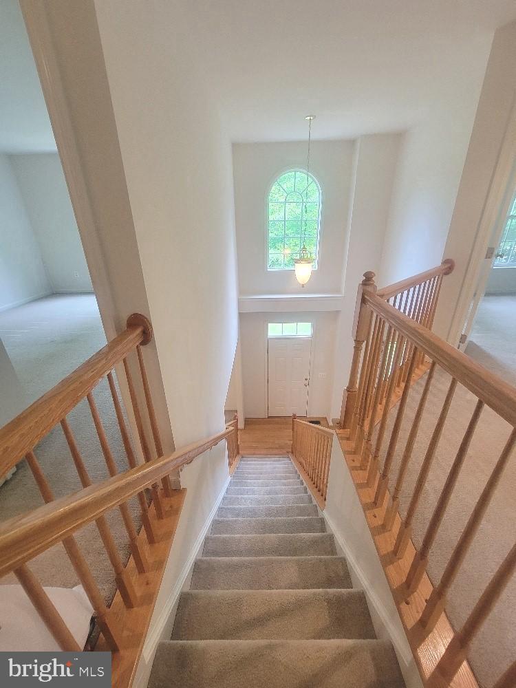 440 REEDY CREEK ROAD
