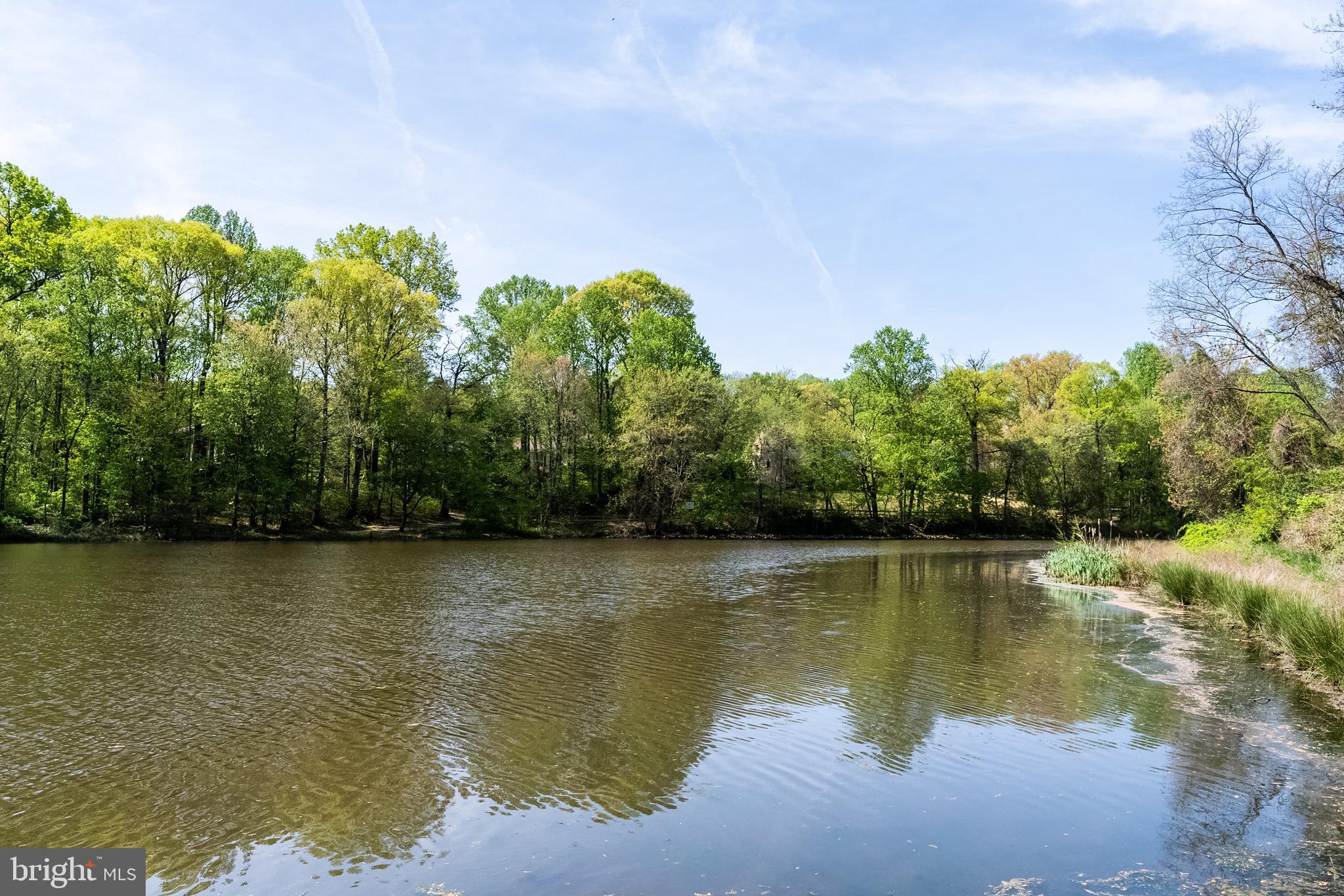 BURKE CENTRE CONSERVANCY - Residential