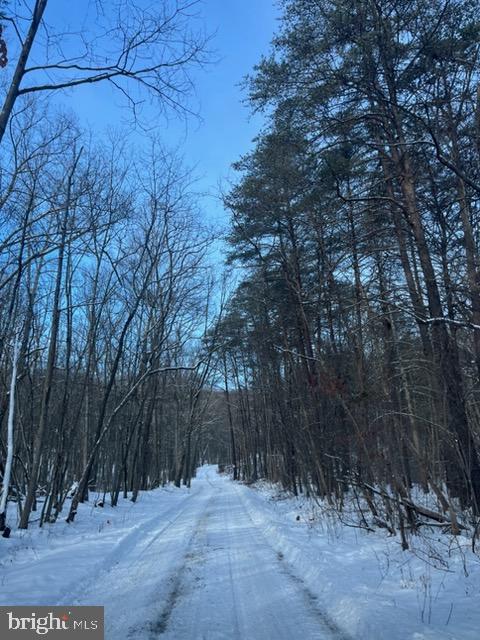 QUAINT HILLS MOUNTAIN SECTION - Land