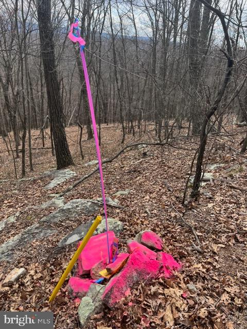 QUAINT HILLS MOUNTAIN SECTION - Land