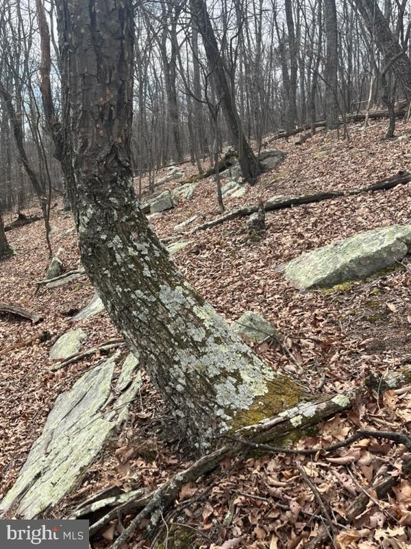 QUAINT HILLS MOUNTAIN SECTION - Land