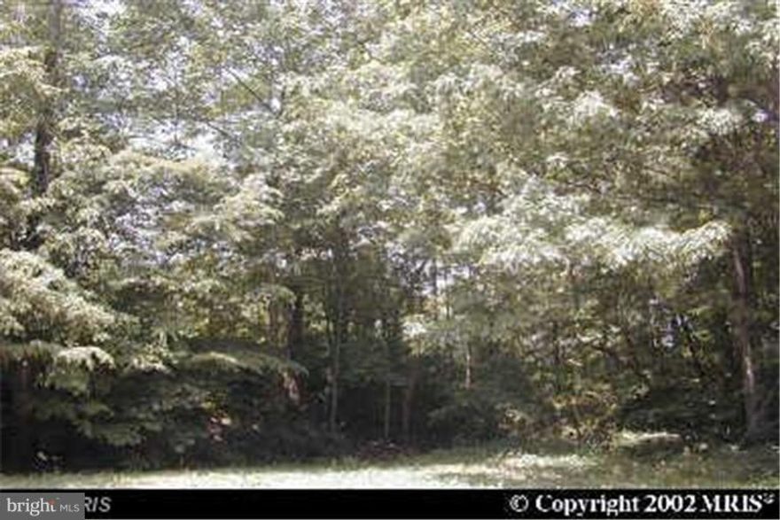 Lots 287 and 288 on Tonopah Rd. in Chestertown. 15,000 sq/ft, .344 acres.  Approved perc site on file. The HO Association is voluntary. For an annual fee of $40 water access is offered to the boat ramp and Worton Creek.  Marina and Boat slips are available through application for an extra fee.  Check with Listing Agent for more information about the community.