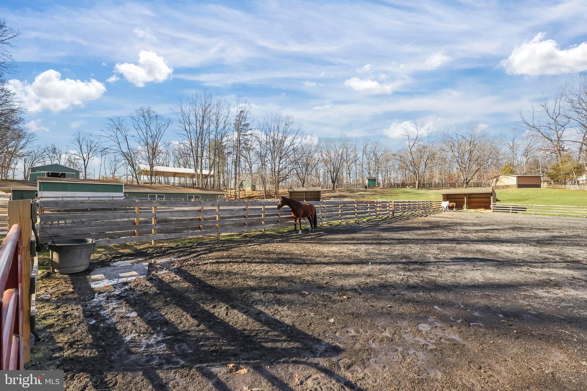 LAKE OF THE WOODS - Residential