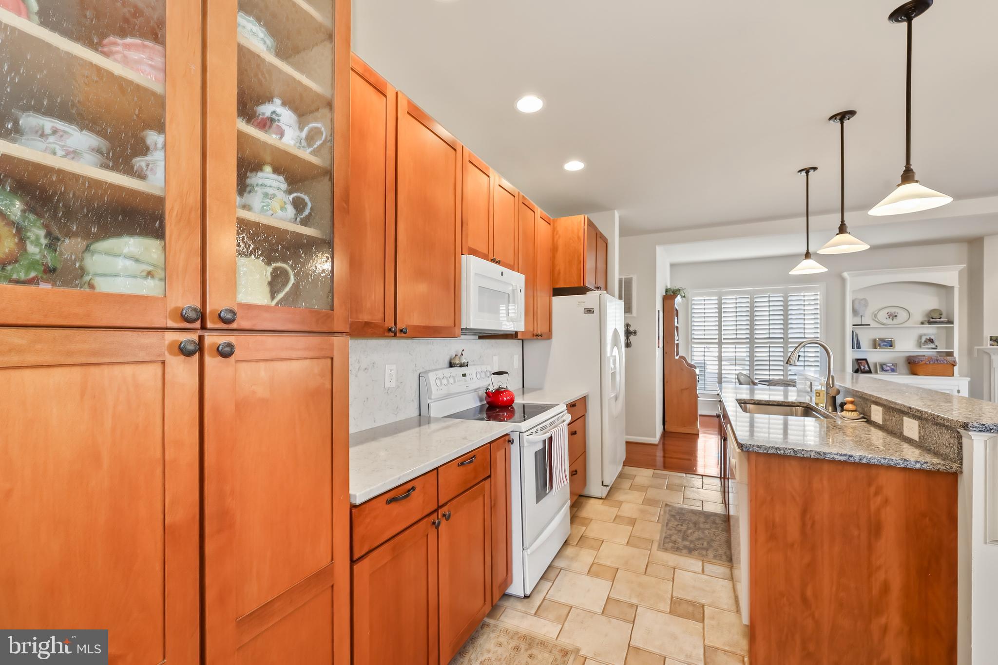 LAKE OF THE WOODS - Residential