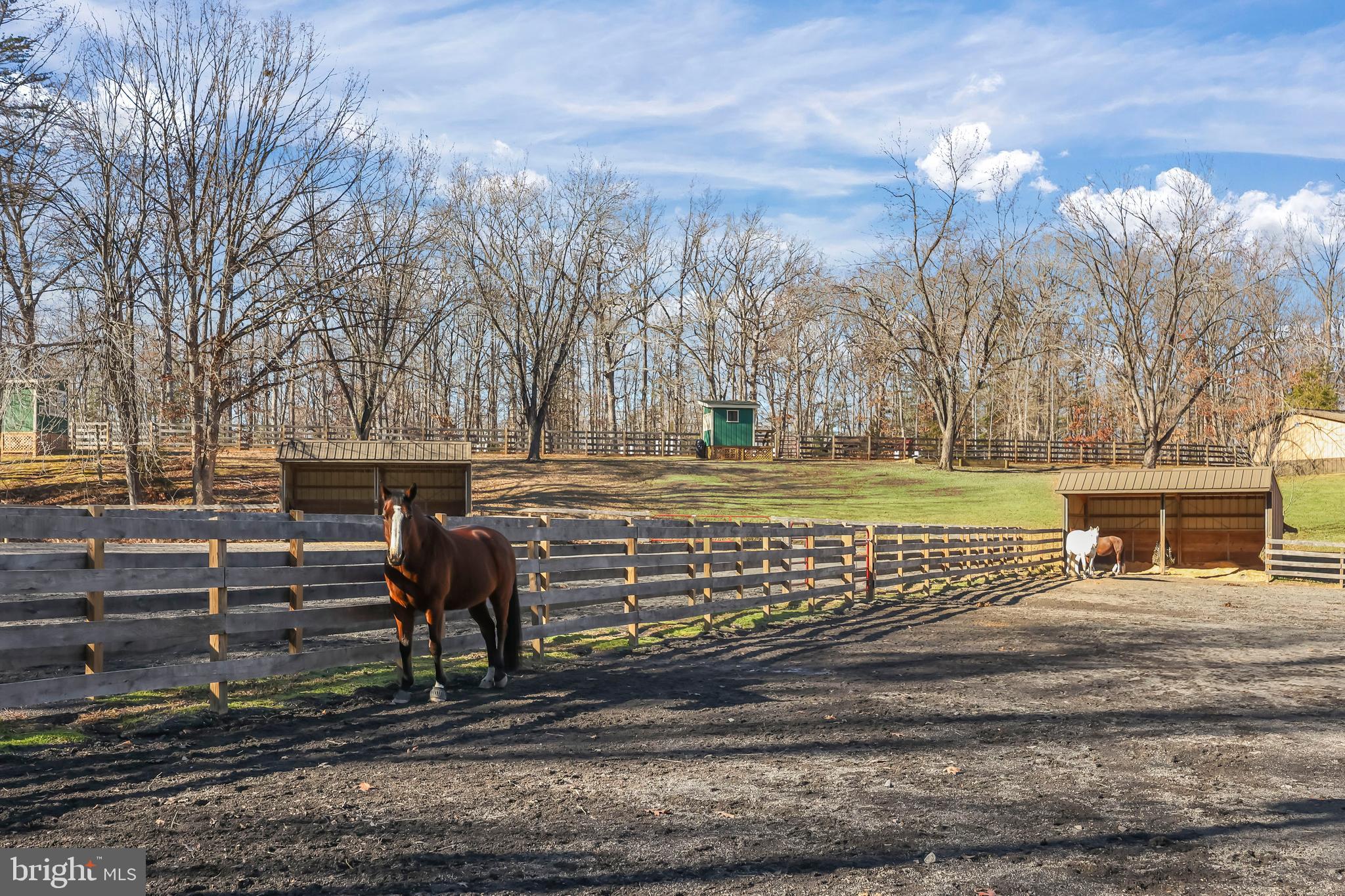 LAKE OF THE WOODS - Residential