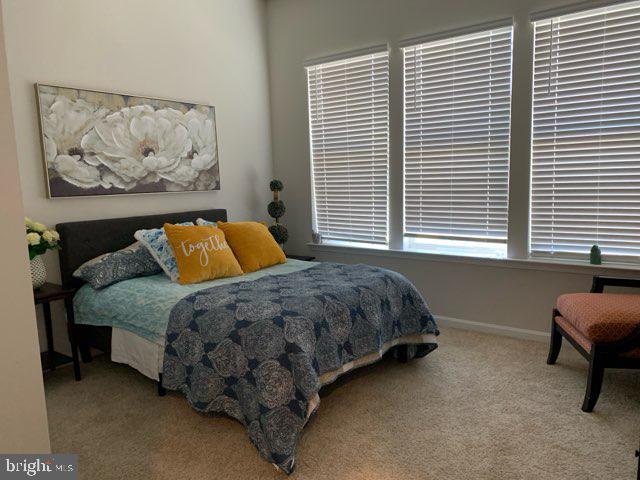 36599 CALM WATER DRIVE