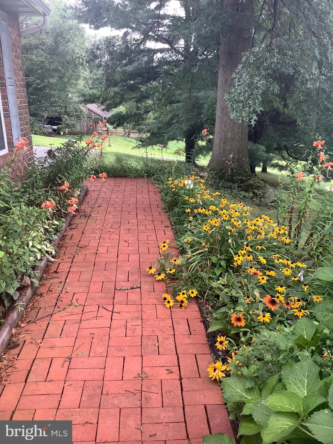 407 MILLER ROAD