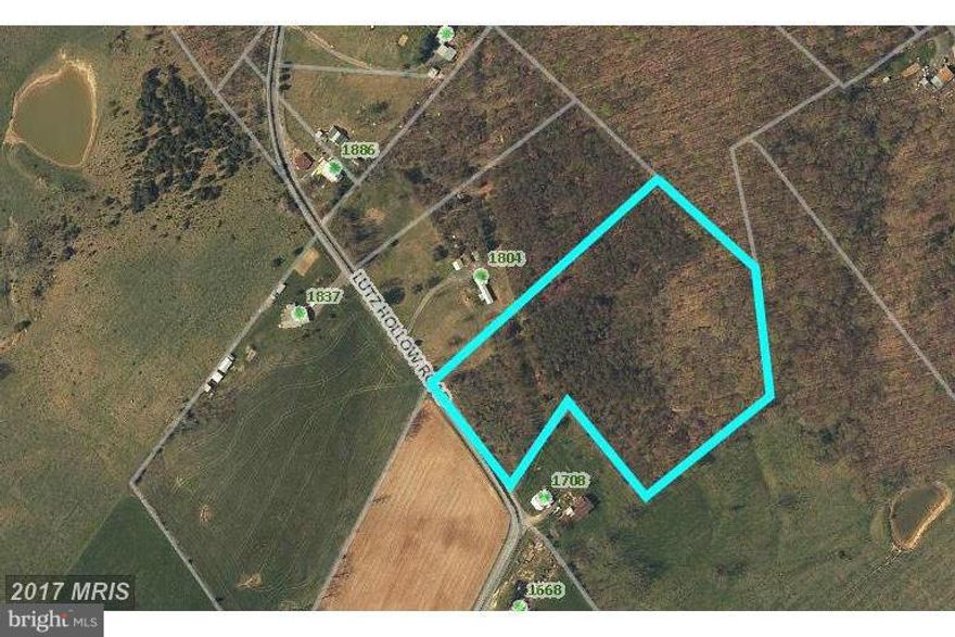 7.82 Acre tract with paved State road frontage. Convenient but quiet location. Will have nice valley view down Lutz Hollow and the mountains beyond when cleared.  Priced more than $10,000 below assessment.