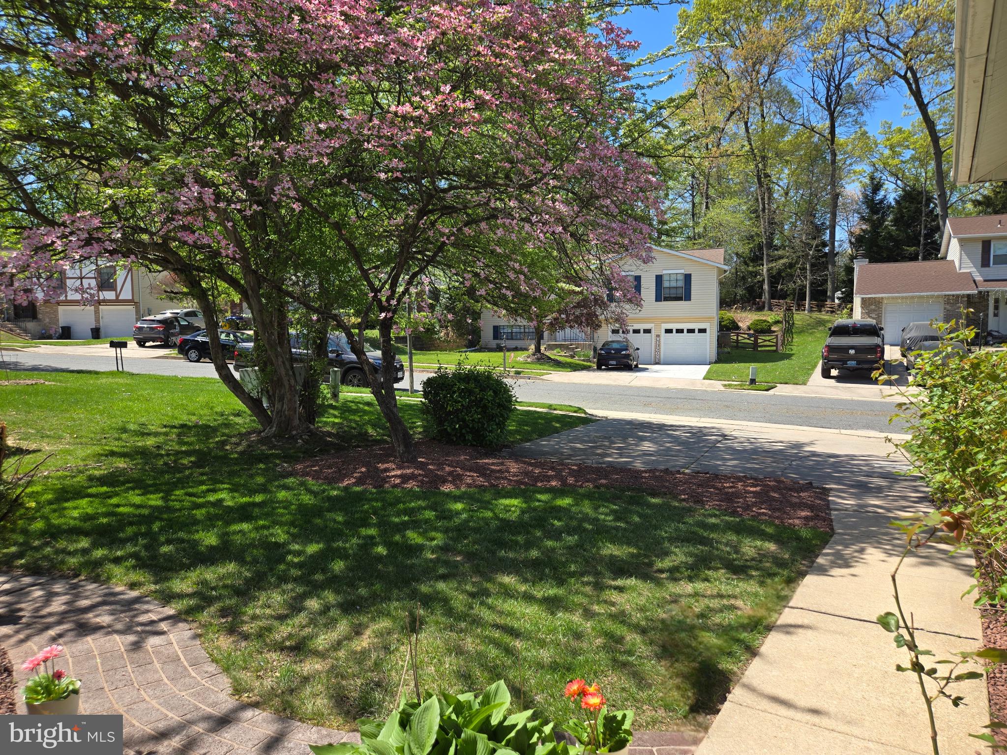 AMBERMILL - Residential