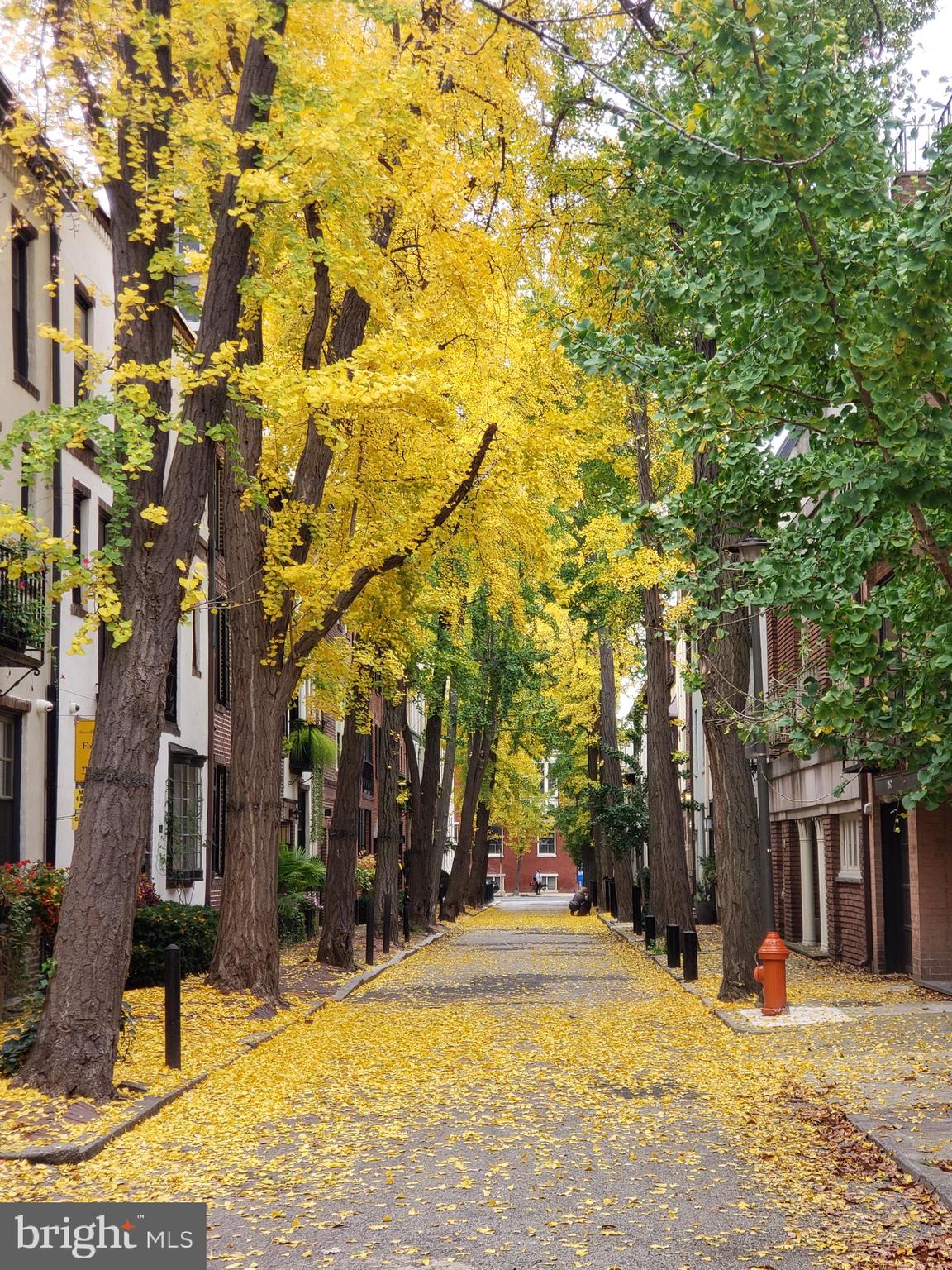 RITTENHOUSE SQUARE - Residential
