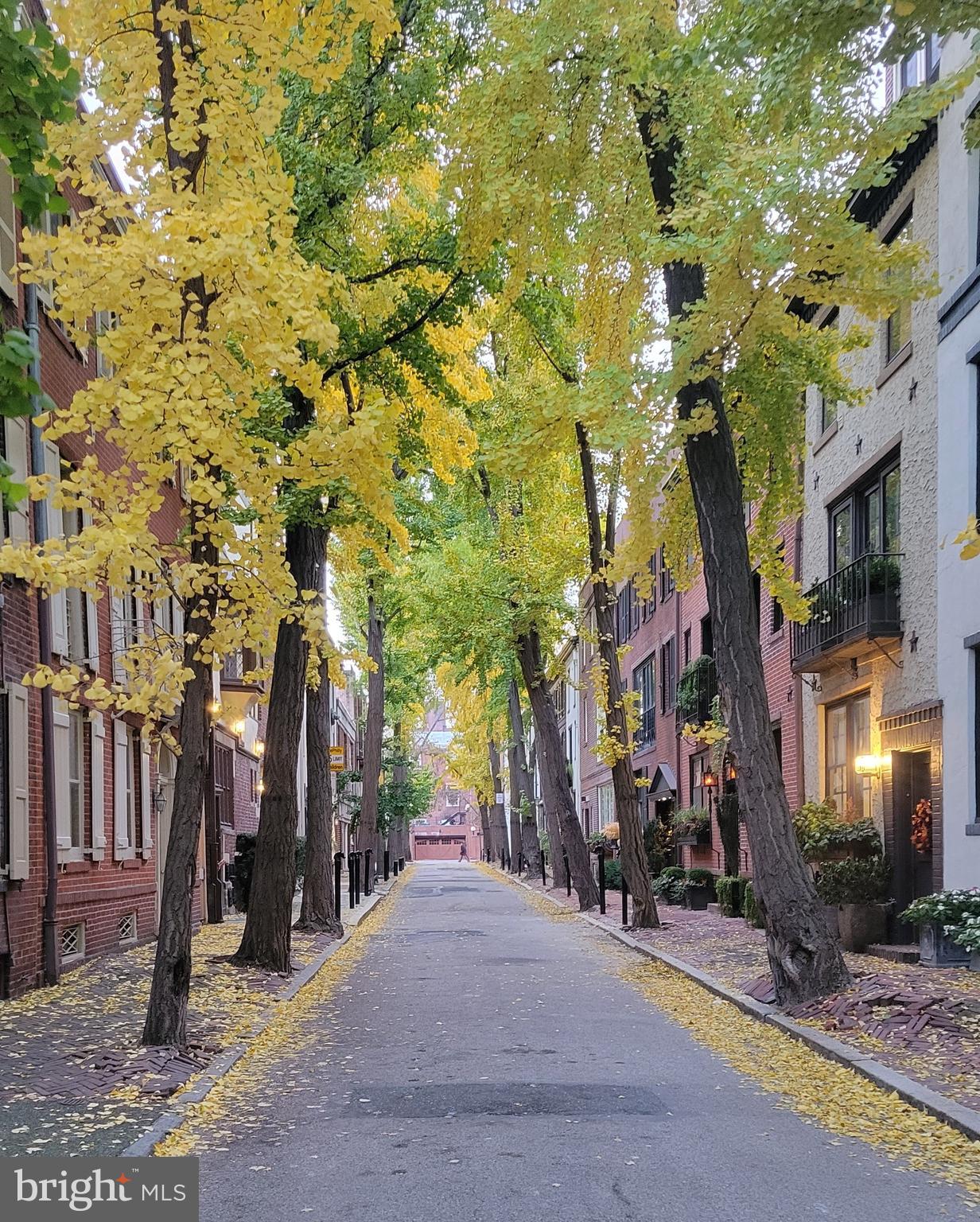 RITTENHOUSE SQUARE - Residential