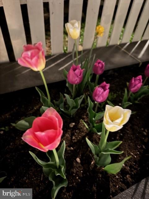 KENTLANDS - Residential