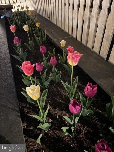 KENTLANDS - Residential