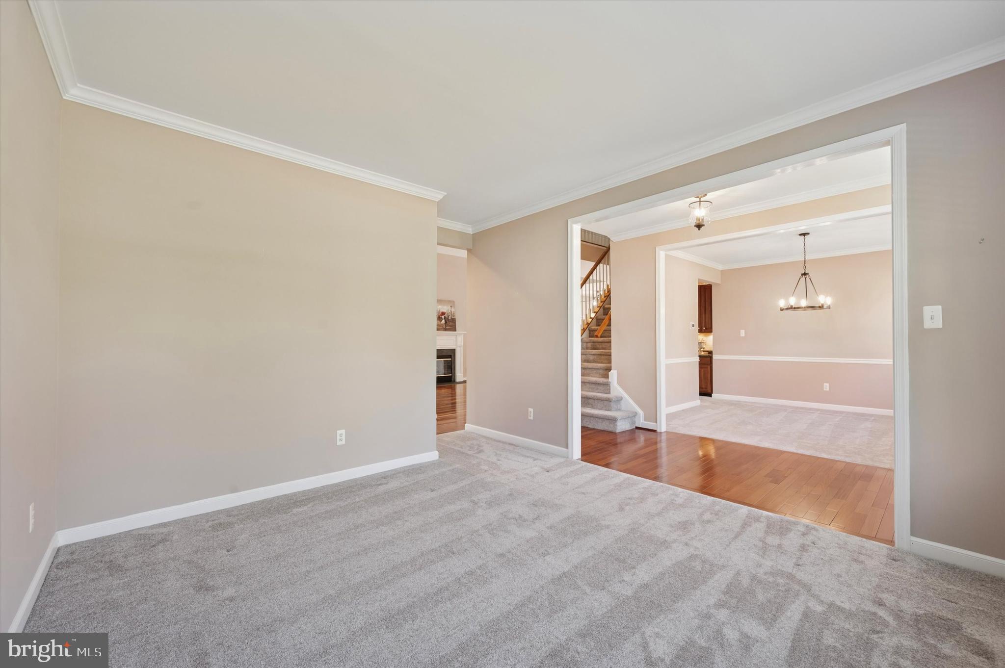 OLD MILL POINTE - Residential