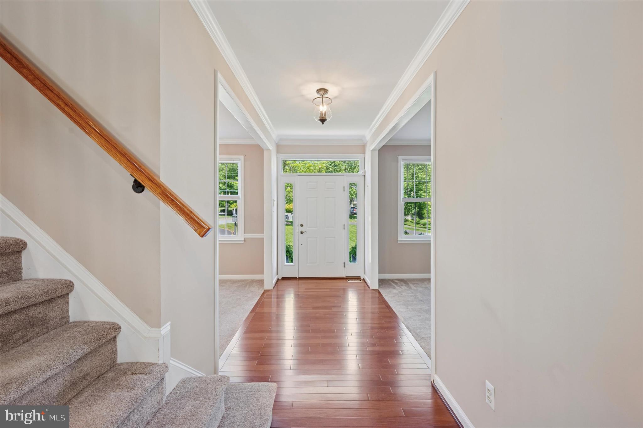 OLD MILL POINTE - Residential