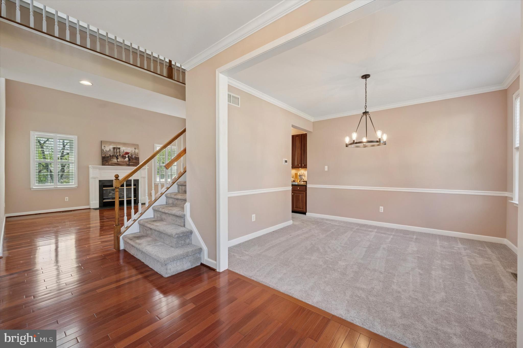 OLD MILL POINTE - Residential