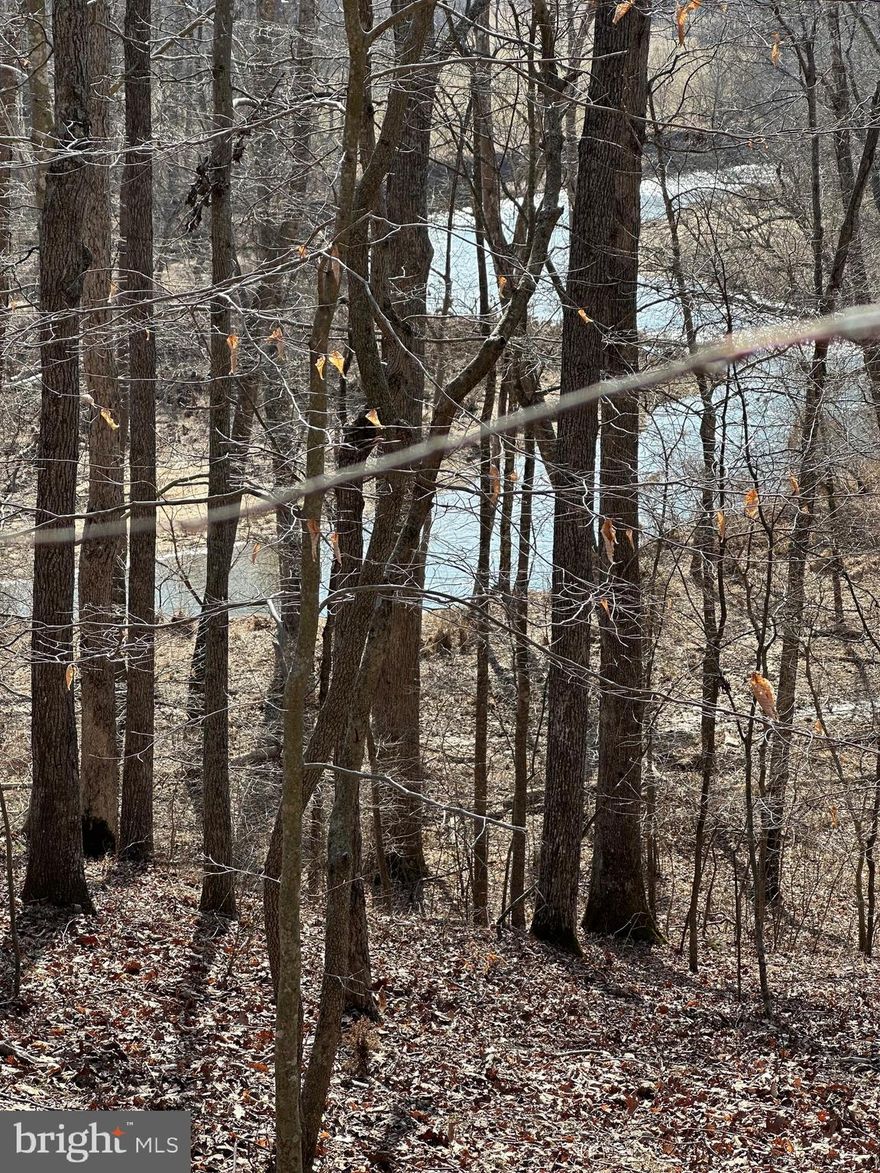 Unique wooded parcel with lots of road frontage and Hazel River frontage. 43.6 acres in Rappahannock, 20 acres across the river in Culpeper. Three usable buildings on the property in good condition needing minor repairs. Nice flat area for building provides long views of the River.. There are also some very cool cliffs along the river line as well.  Very peaceful and tranquil.  It has been affectionately referred to as "Blueberry Hill" and was our magic sanctuary growing up.  It was named this despite no evidence of any blueberries around.  Then in the mid '90s, out of nowhere, the main hill that cascades from the barn to the pond started cropping up with fresh wild blueberries as if it yearned to live up to its name. Be advised the owner assumes no responsibility for accidents, injuries or mishaps for anyone on the property.