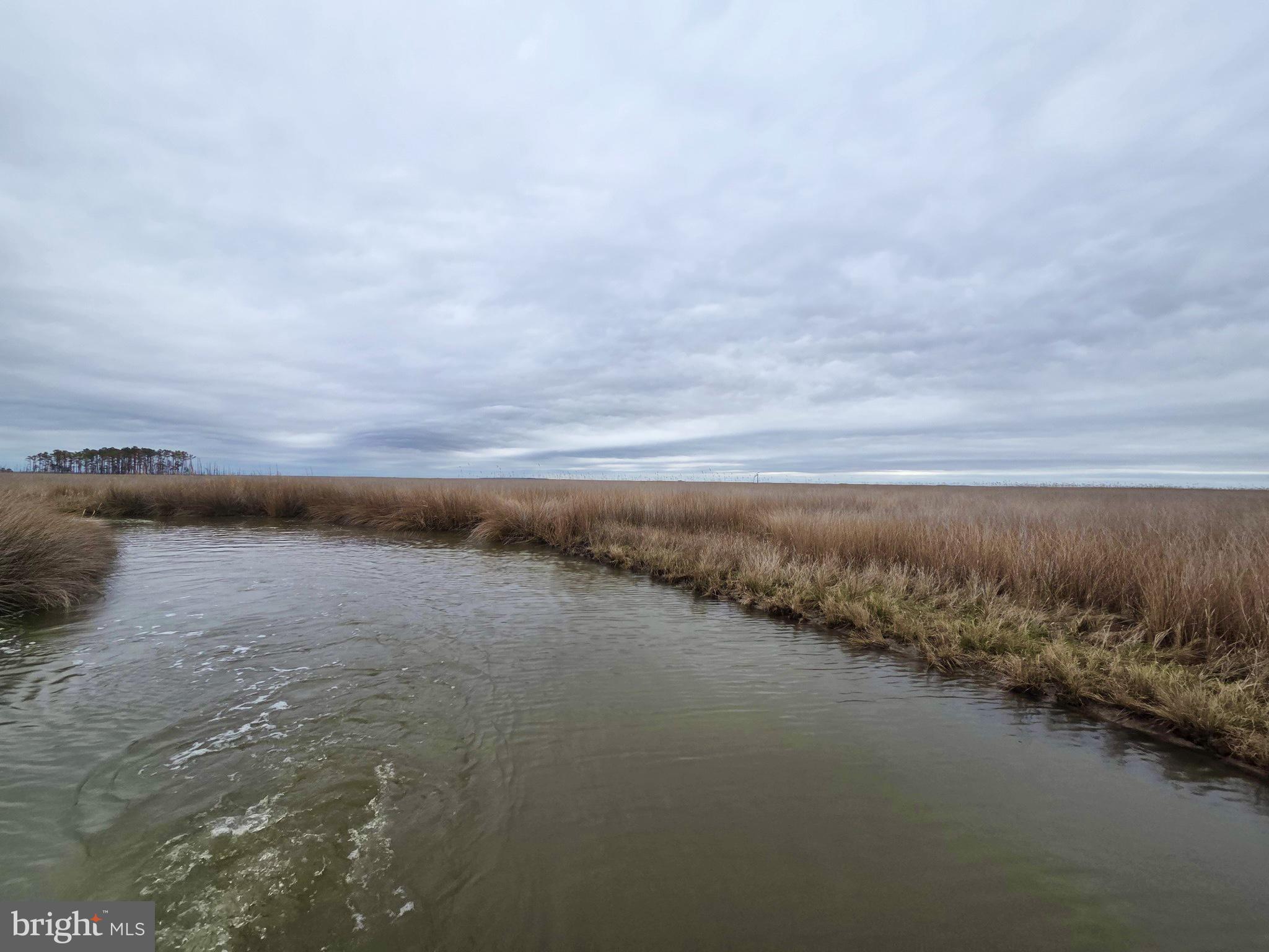 Duck, Sika & Waterfowl MUSKRAT HARBOR -