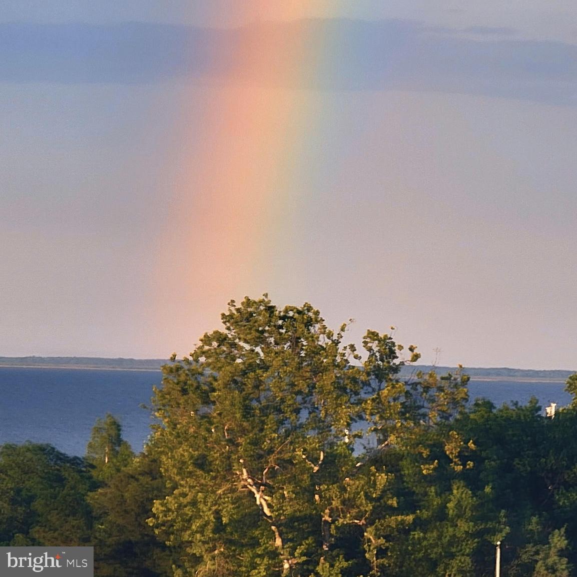 CHESAPEAKE OVERLOOK - Residential