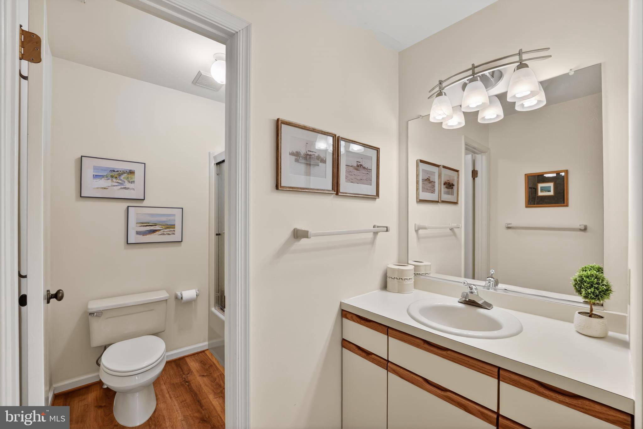 CHESAPEAKE OVERLOOK - Residential