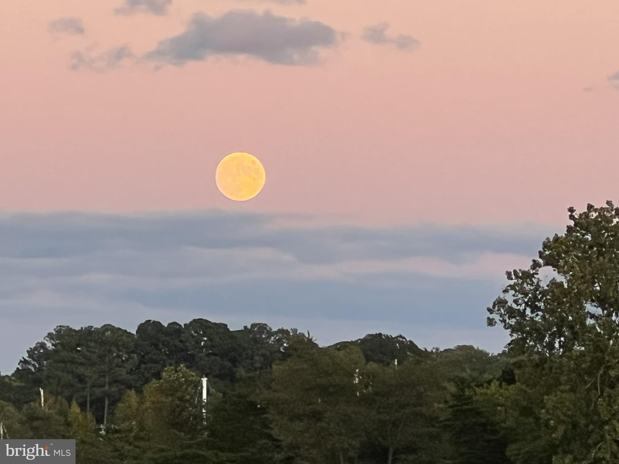 CHESAPEAKE OVERLOOK - Residential