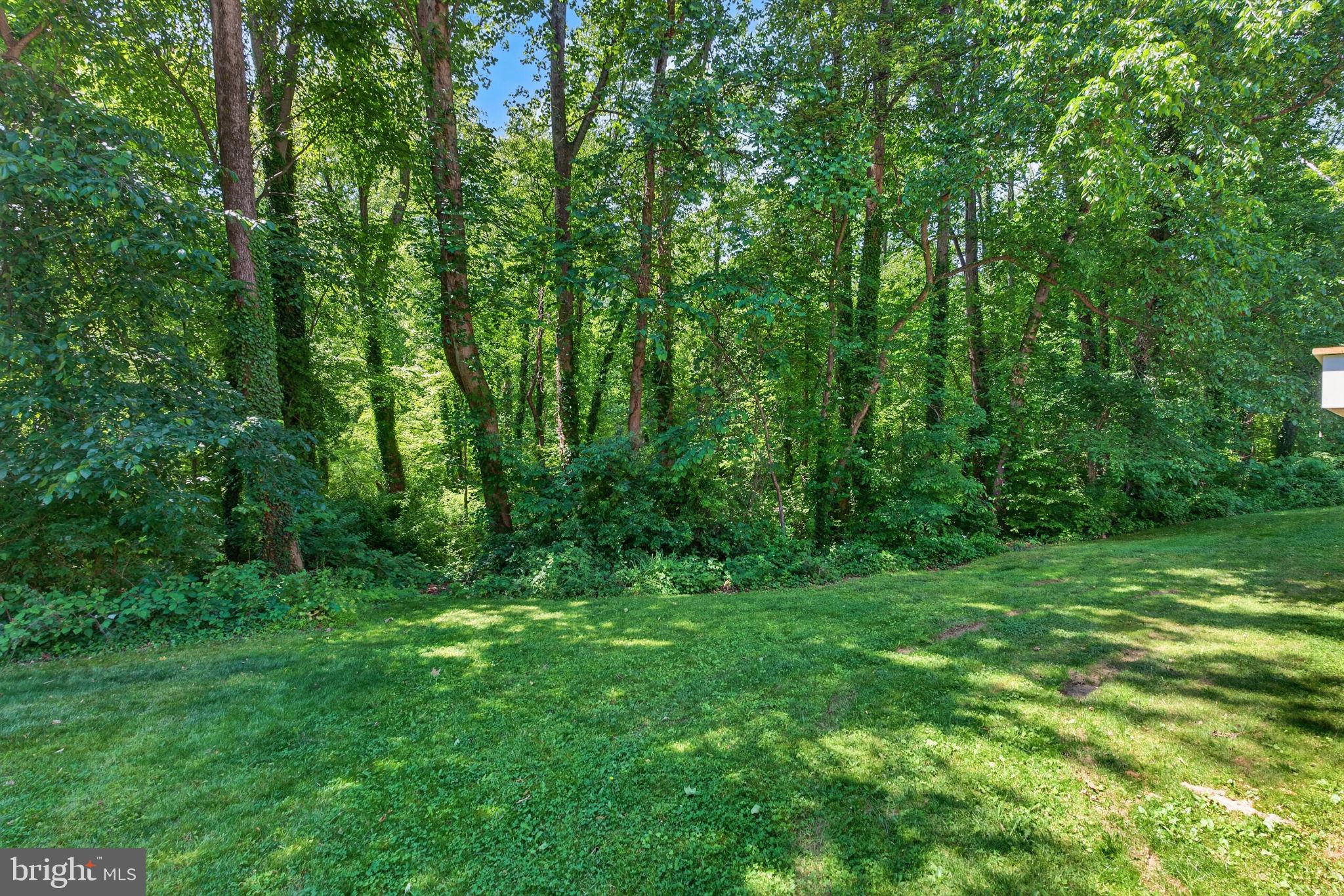 CANTERBURY WOODS - Residential