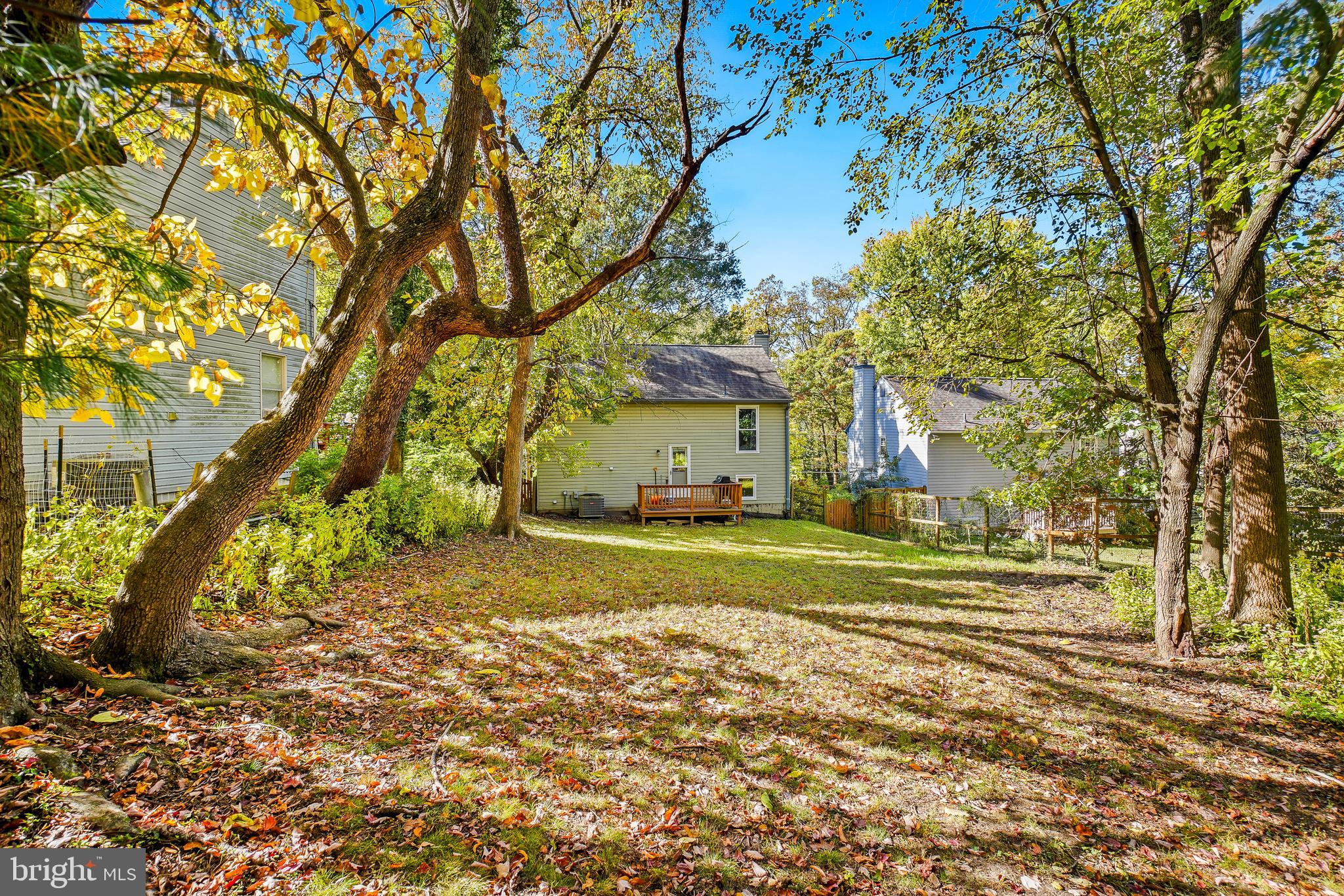 TAKOMA PARK - Residential