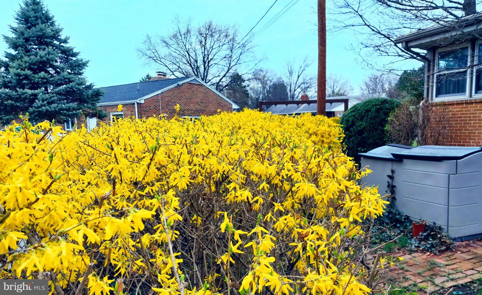 CEDAR CLIFF MANOR - Residential