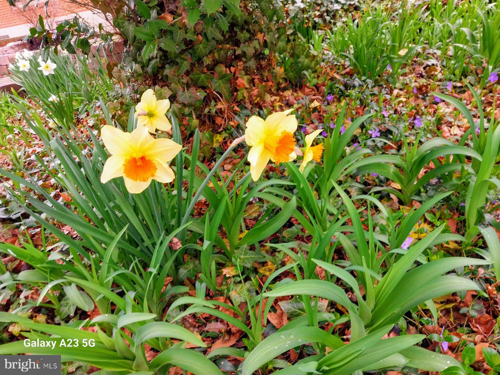 CEDAR CLIFF MANOR - Residential