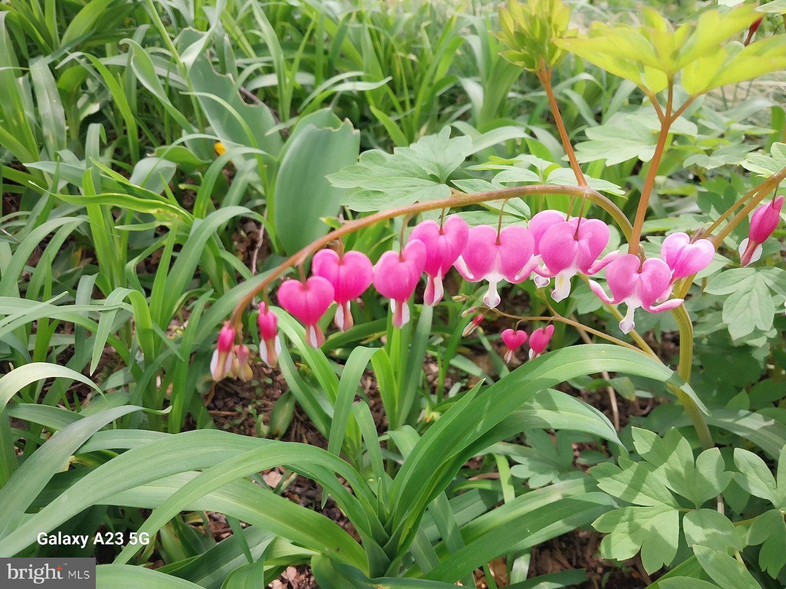 CEDAR CLIFF MANOR - Residential