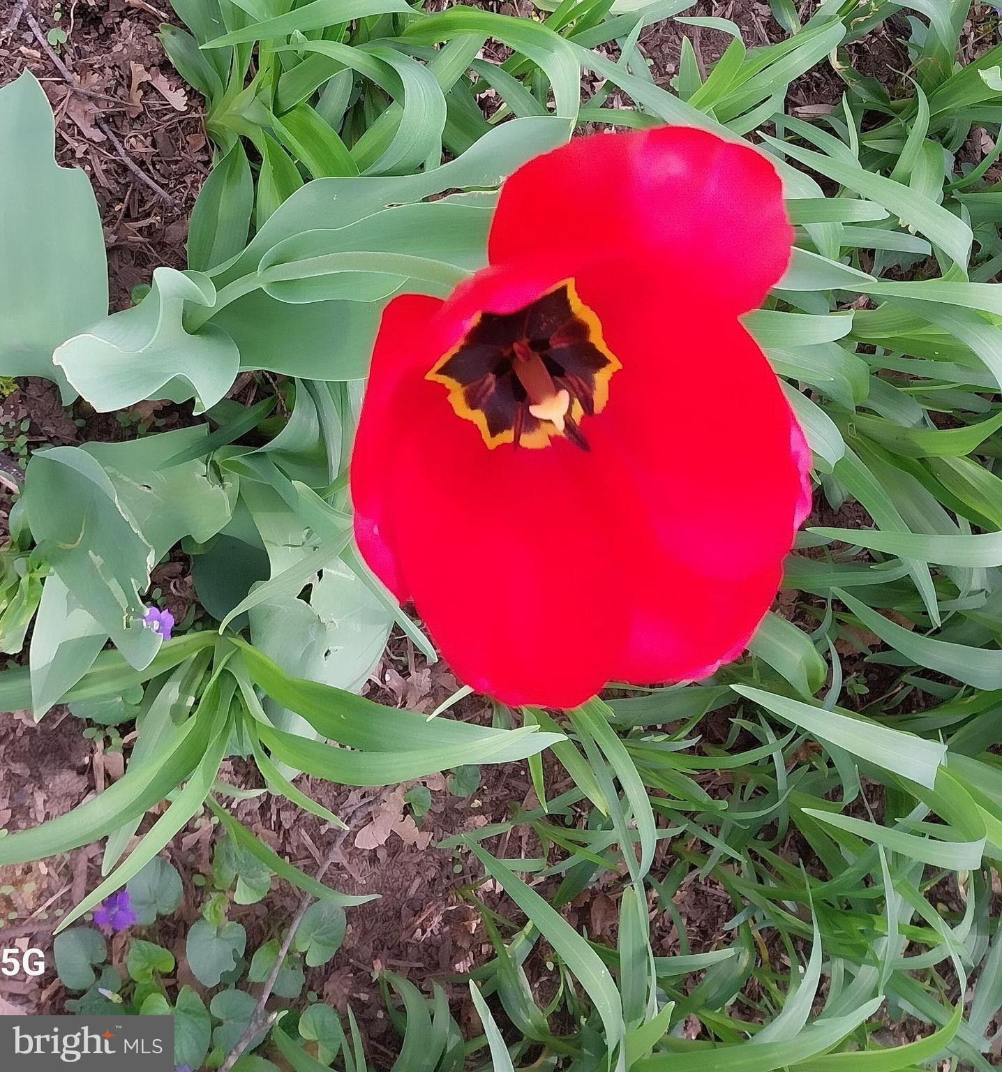 CEDAR CLIFF MANOR - Residential