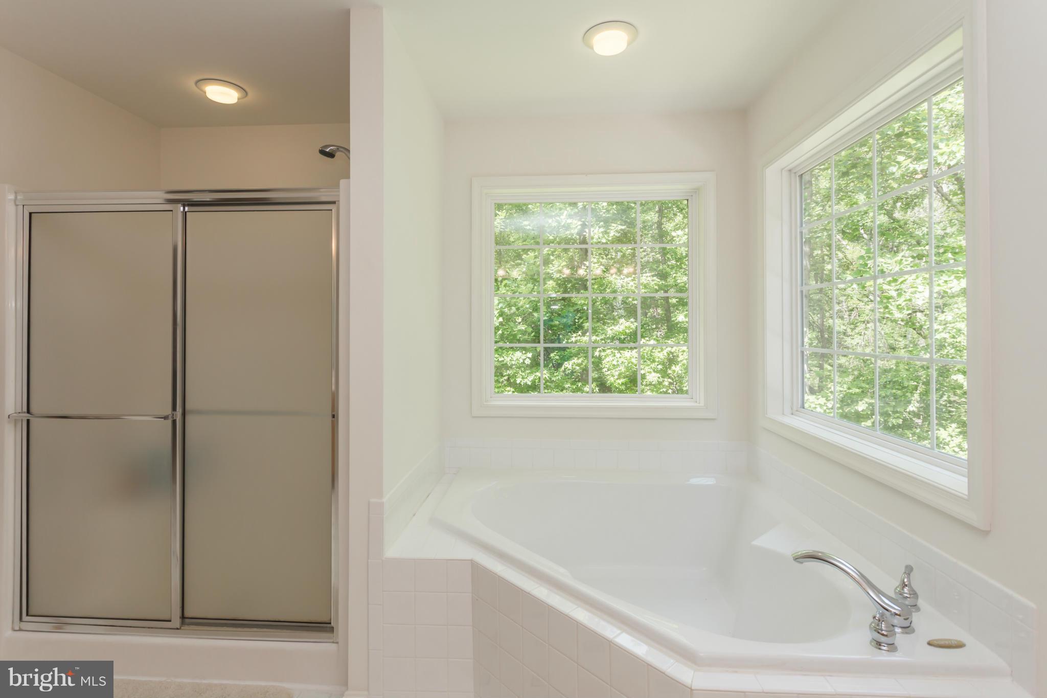 POTOMAC RUN FARM - Residential