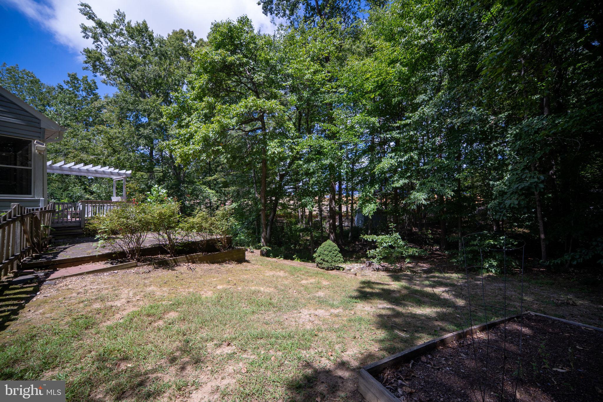 CARDINAL FOREST - Residential