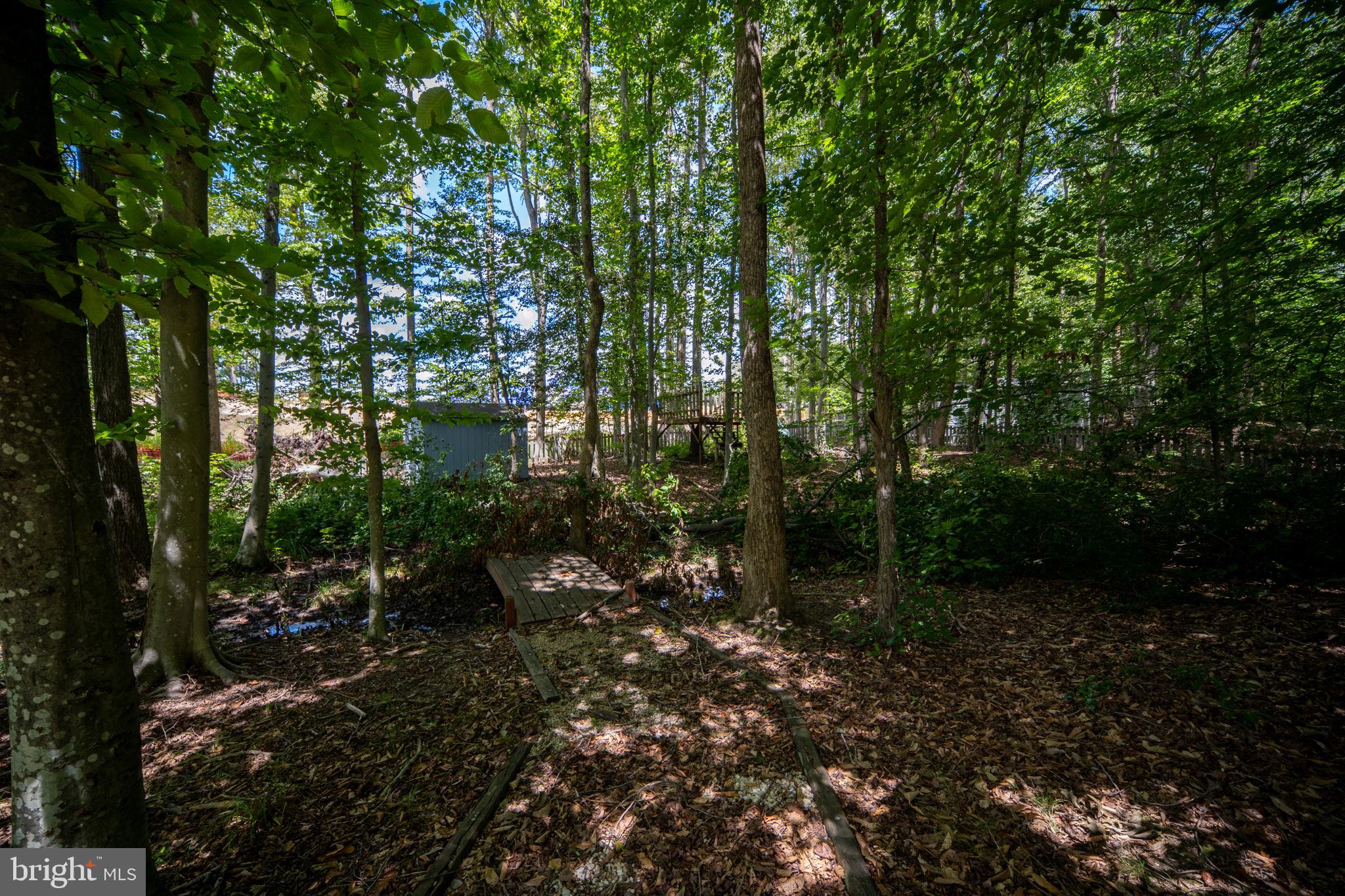 CARDINAL FOREST - Residential