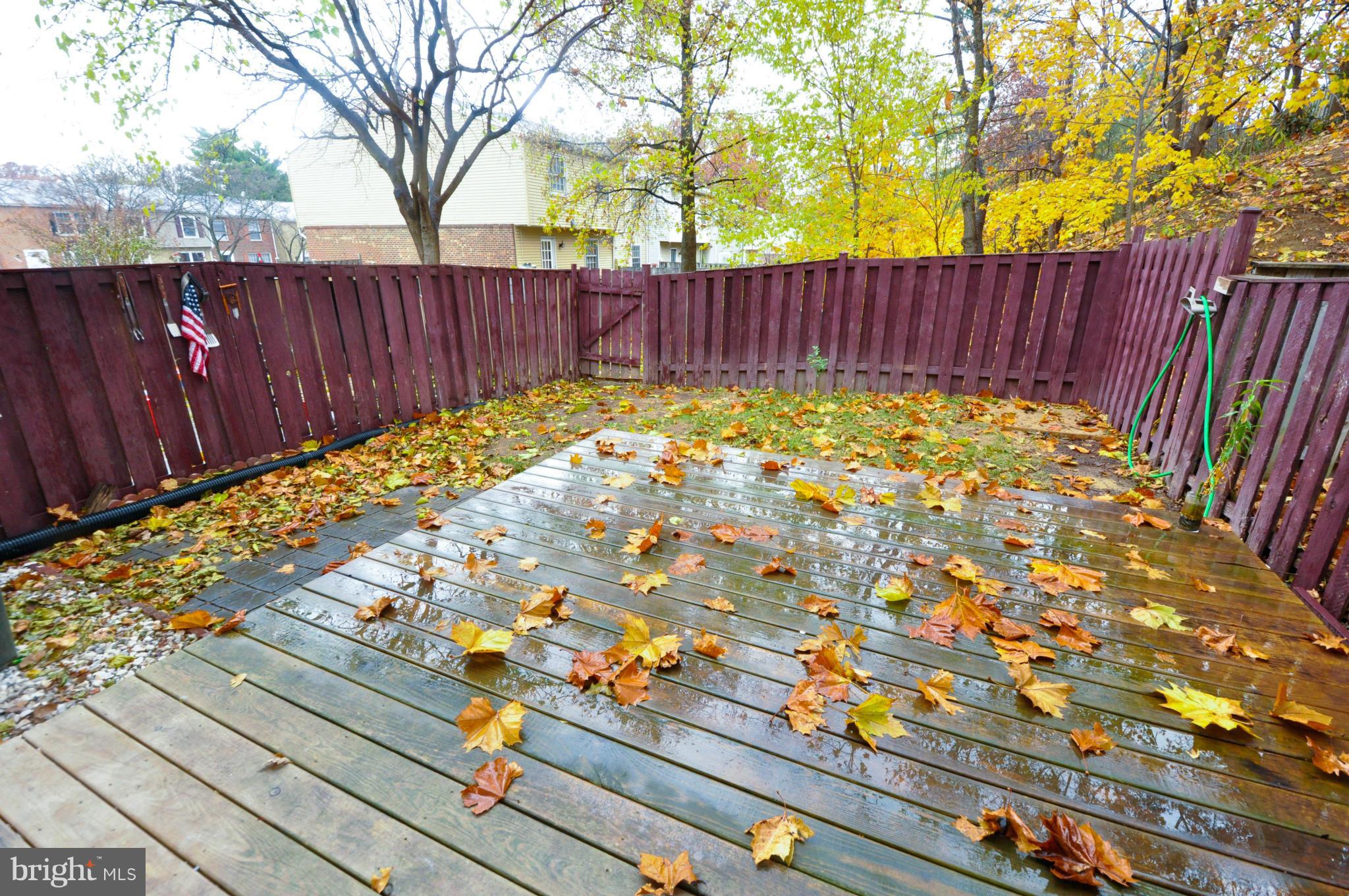 WINDSOR PARK - Residential Lease