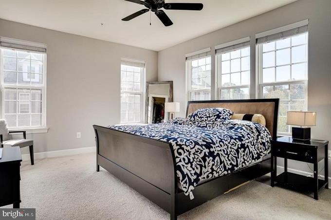 CAMERON GLEN - Residential Lease