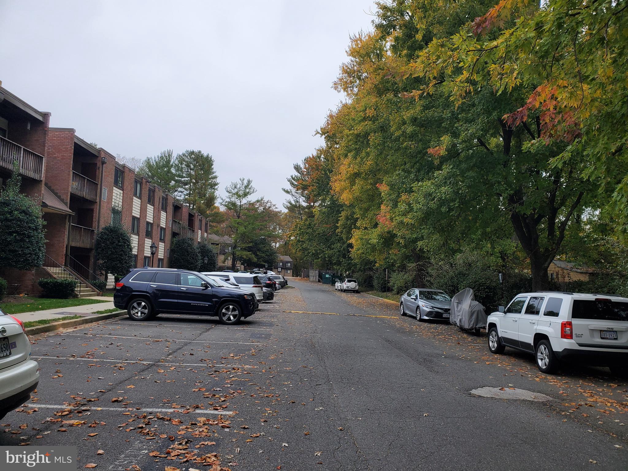 FAIRFAX WEST CONDOS - Residential Lease