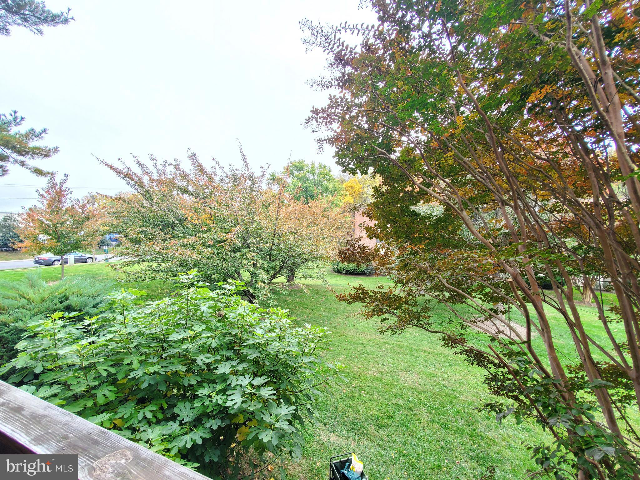 FAIRFAX WEST CONDOS - Residential Lease