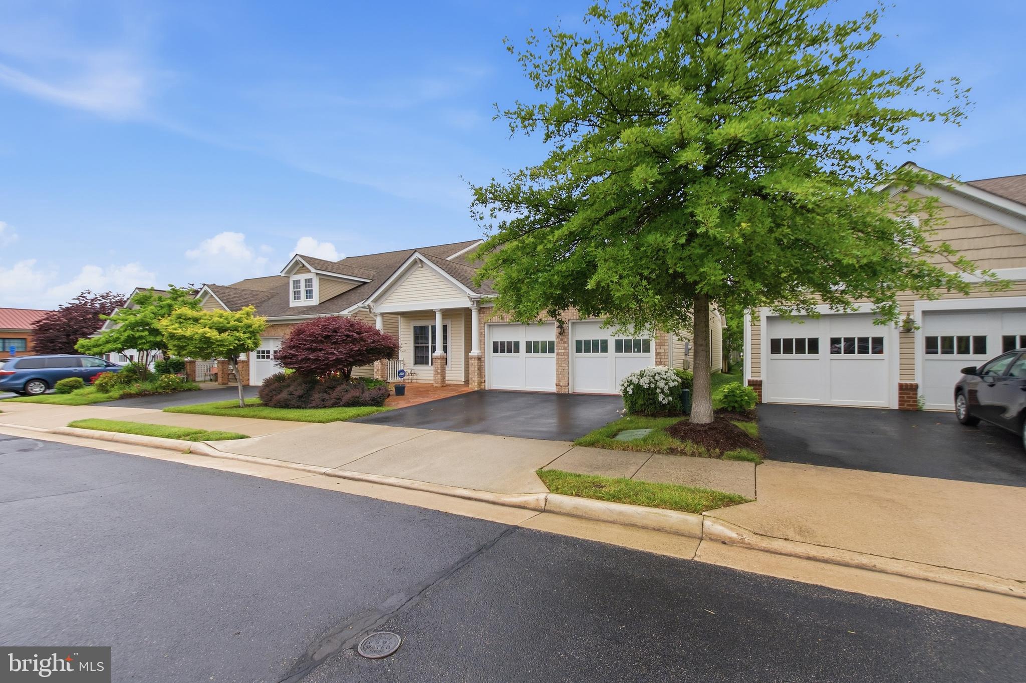 8932 PINK CARNATION COURT